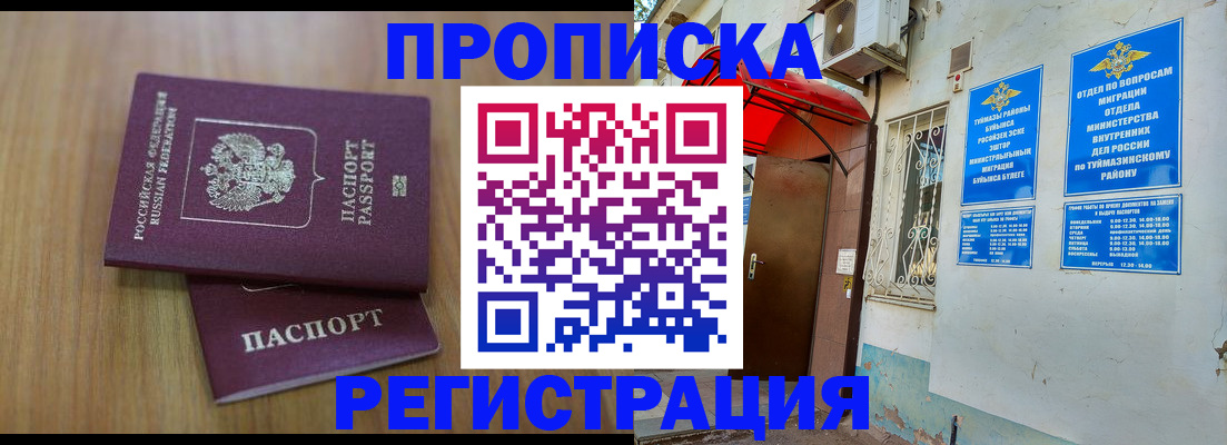 форма 3 в Сольцах